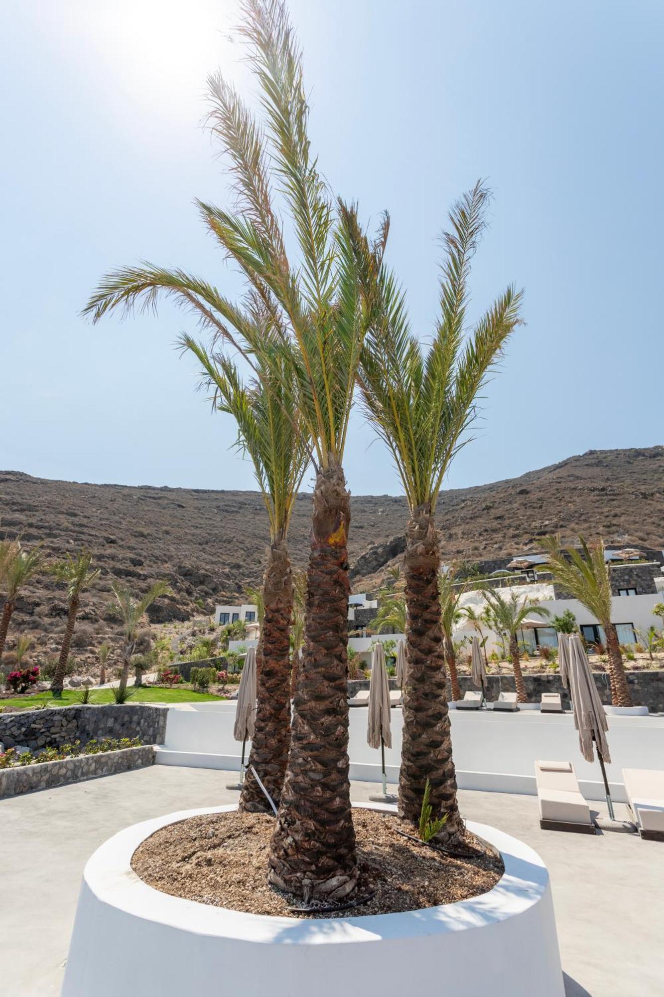Palm Island Suites Imerovígli Eksteriør bilde